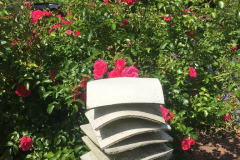 IMG-20220612-WA0007