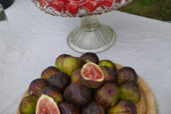P1020975