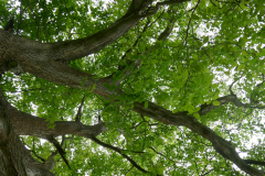 P1020978