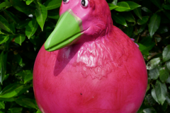 P1030001